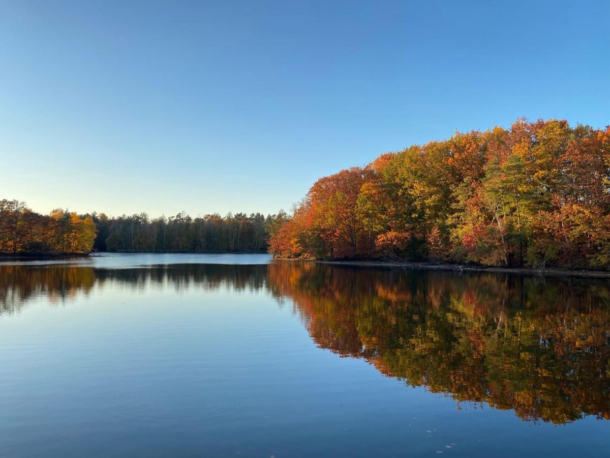 Appartamento Hof Tuerke Moritzburg Esterno foto