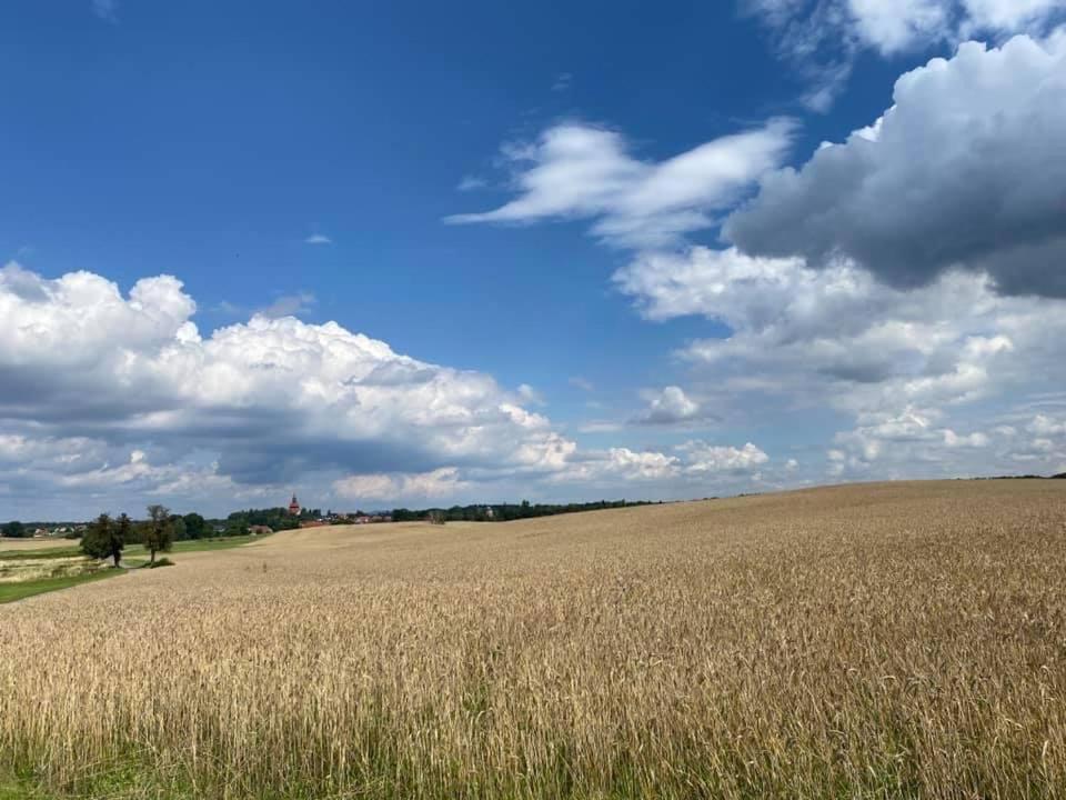 Appartamento Hof Tuerke Moritzburg Esterno foto